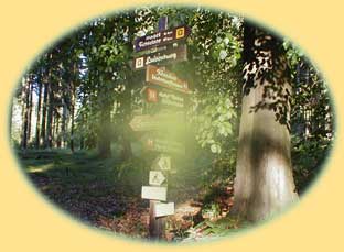 Wegweiser